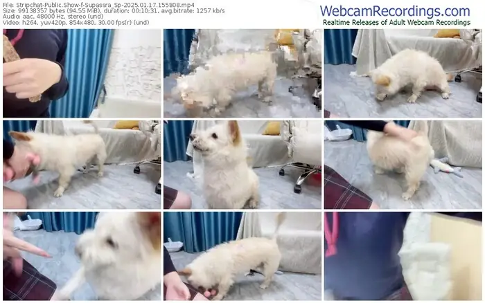 stripchat-supassra_sp-01-17-2025-15-58-08