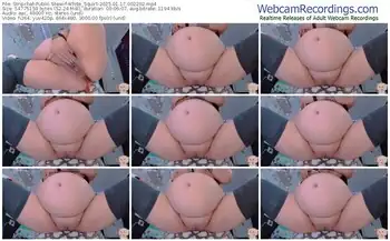 stripchat-white_squirt-01-17-2025-00-22-02