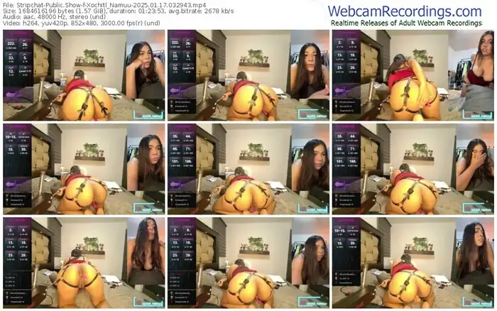 stripchat-xochitl_namuu-01-17-2025-03-29-43