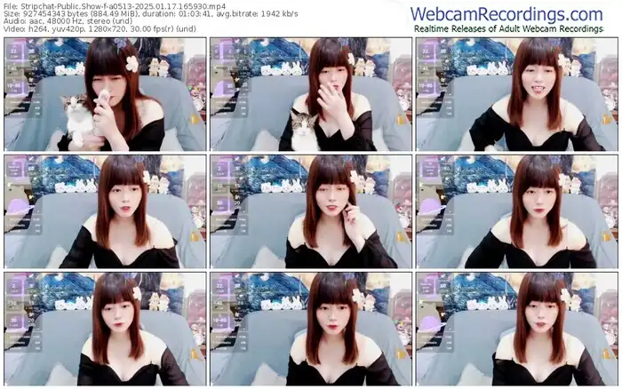 stripchat-a0513-01-17-2025-16-59-30