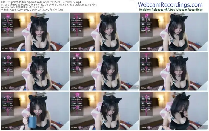 stripchat-laybunny1-01-17-2025-21-06-35