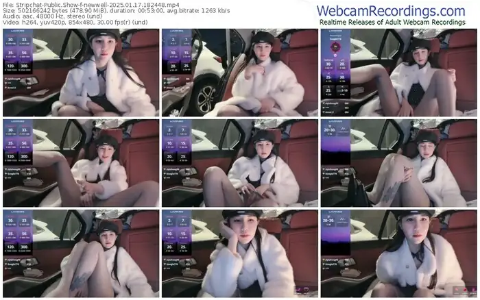 stripchat-newwell-01-17-2025-18-24-48
