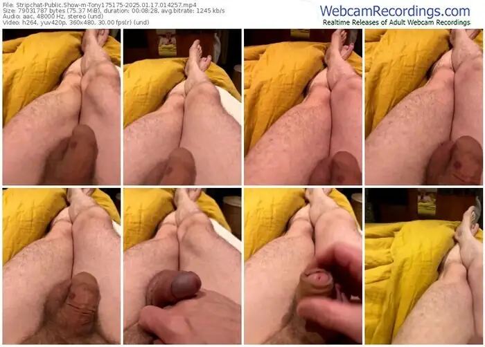 stripchat-tony175175-01-17-2025-01-42-57