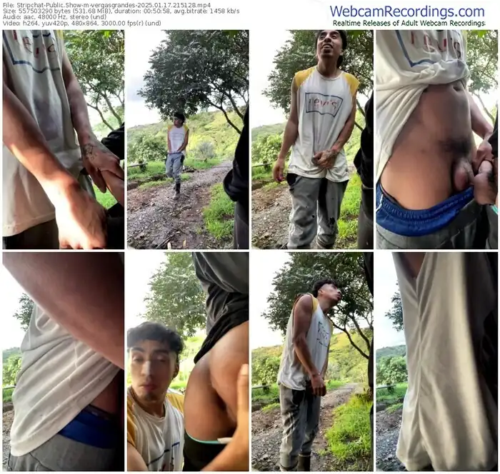 stripchat-vergasgrandes-01-17-2025-21-51-28