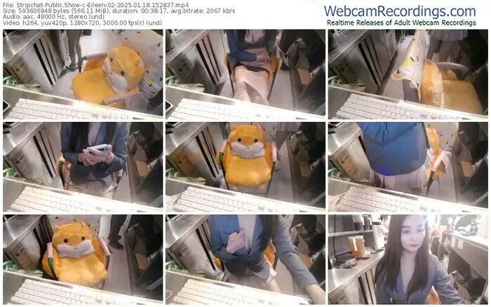stripchat-eileen-02-01-18-2025-15-28-37
