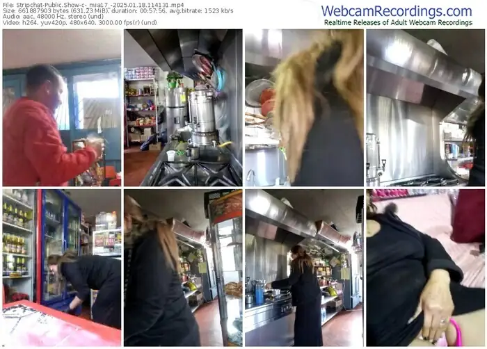 stripchat-_mia17_-01-18-2025-11-41-31