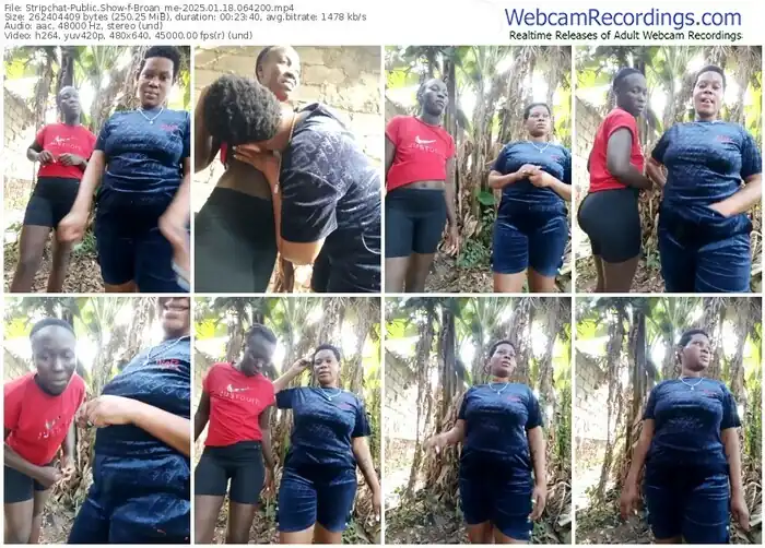 stripchat-broan_me-01-18-2025-06-42-00
