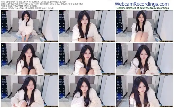 stripchat-fountain--01-18-2025-00-12-11