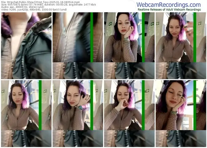 stripchat-frost_foxy-01-18-2025-08-35-14