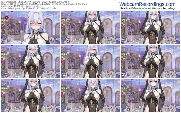 stripchat-naijiang_-01-18-2025-05-09-38