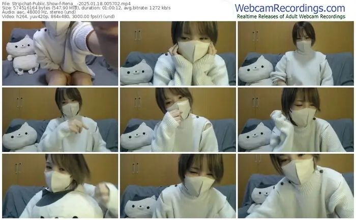 stripchat-rena__-01-18-2025-00-57-02