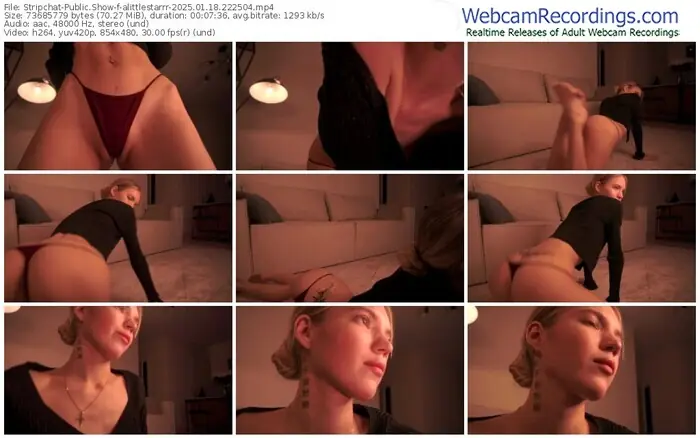 stripchat-alittlestarrr-01-18-2025-22-25-04