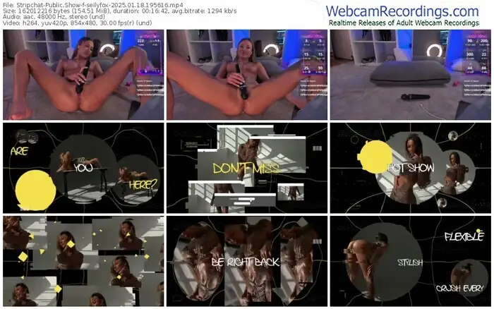 stripchat-seilyfox-01-18-2025-19-56-16