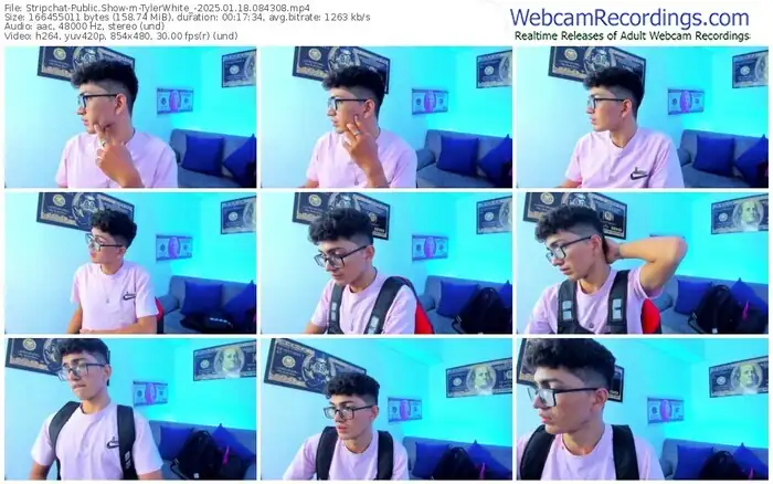 stripchat-tylerwhite_-01-18-2025-08-43-08