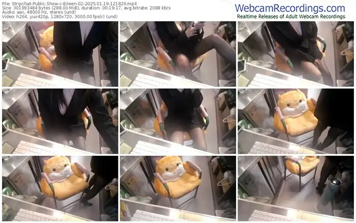 stripchat-eileen-02-01-19-2025-12-18-29
