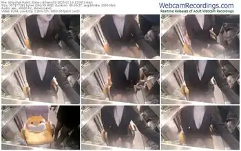 stripchat-eileen-02-01-19-2025-12-56-53