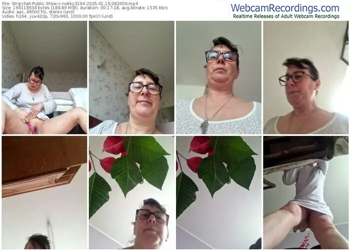 stripchat-nokky3194-01-19-2025-08-24-59