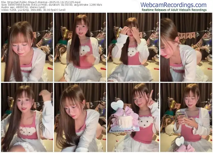stripchat--meimei--01-19-2025-15-11-05