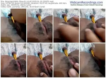 stripchat-l-love-01-19-2025-22-06-51