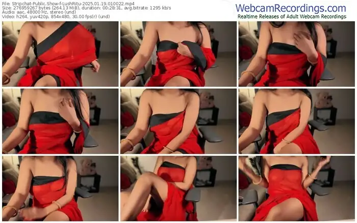 stripchat-lushritu-01-19-2025-01-00-22