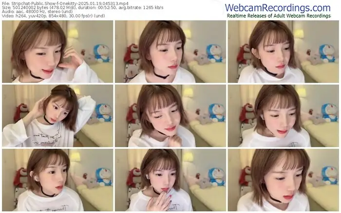 stripchat-onekitty-01-19-2025-04-53-13