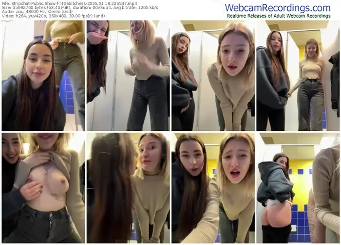 stripchat-littlebitchess-01-19-2025-22-55-47