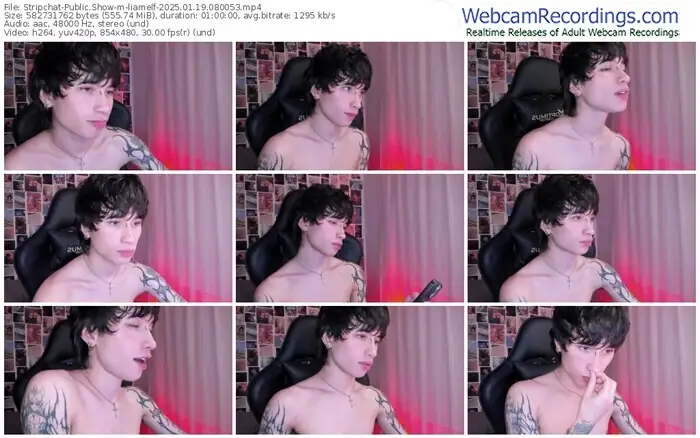 stripchat-liamelf-01-19-2025-08-00-53