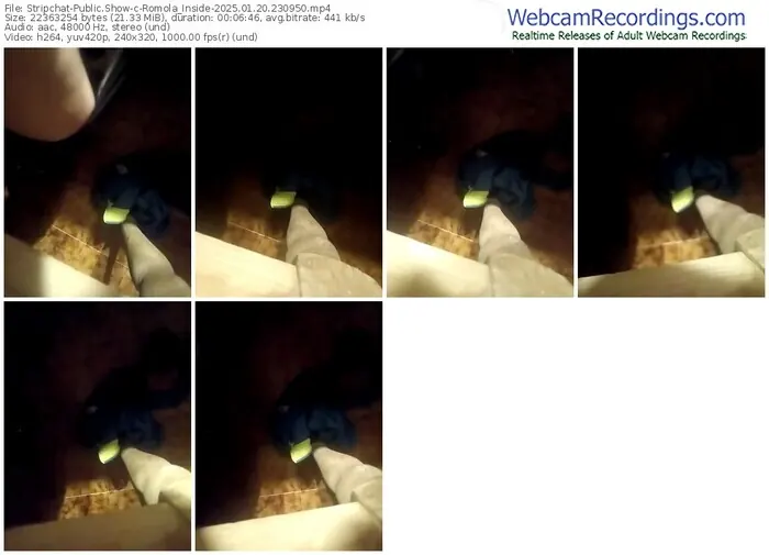 stripchat-romola_inside-01-20-2025-23-09-50