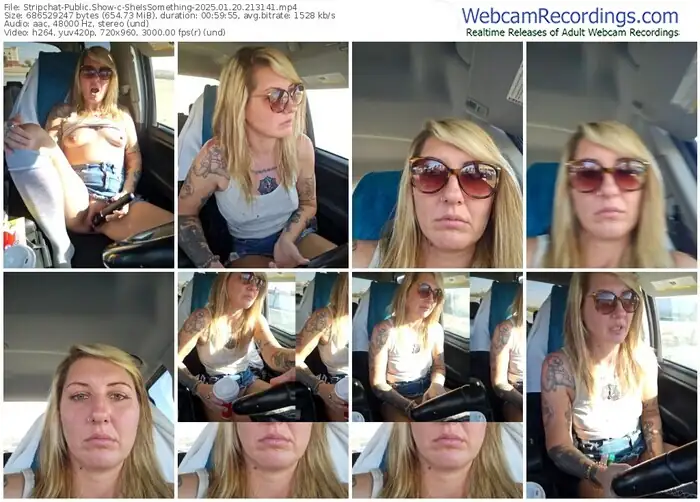 stripchat-sheissomething-01-20-2025-21-31-41