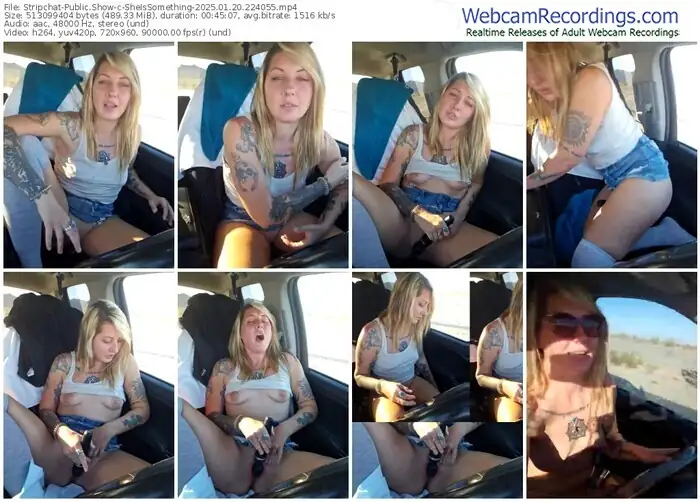 stripchat-sheissomething-01-20-2025-22-40-55