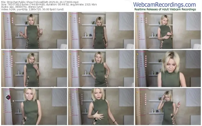 stripchat-silviaellett-01-20-2025-17-39-33