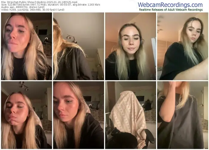 stripchat-skybriii-01-20-2025-18-55-25
