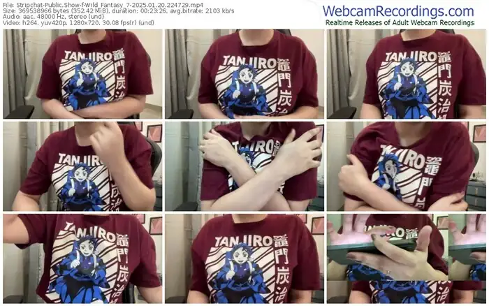 stripchat-wild_fantasy_7-01-20-2025-22-47-29