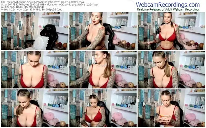 stripchat-zenaidasasha-01-20-2025-20-28-29