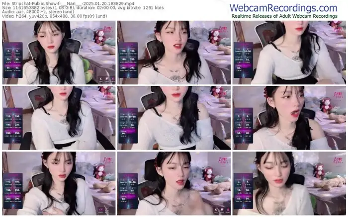 stripchat-___nari___-01-20-2025-18-38-29