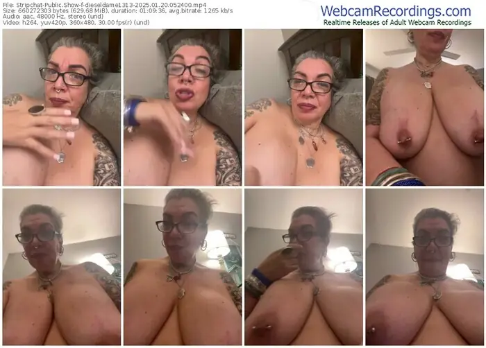 stripchat-dieseldame1313-01-20-2025-05-24-00