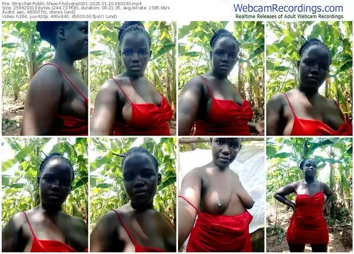 stripchat-holygrail001-01-20-2025-09-03-30