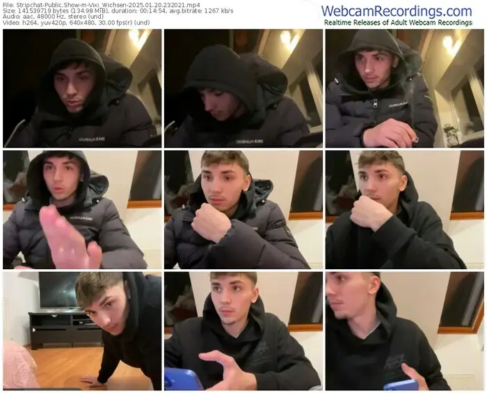 stripchat-vixi_wichsen-01-20-2025-23-20-21