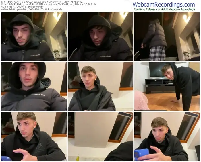 stripchat-vixi_wichsen-01-20-2025-23-21-28