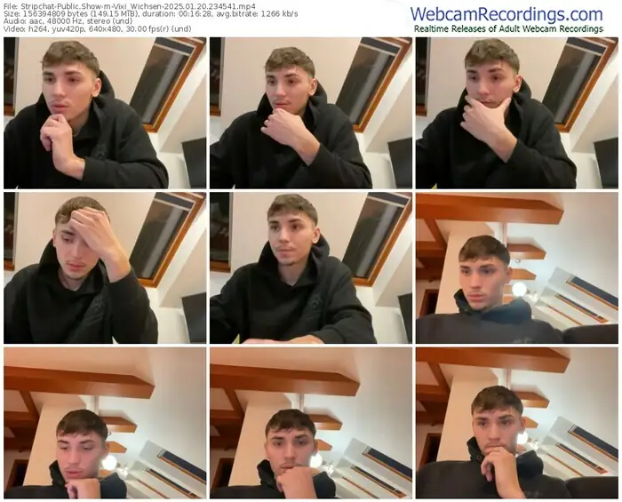 stripchat-vixi_wichsen-01-20-2025-23-45-41