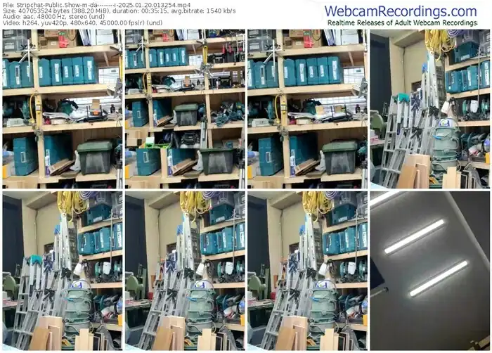 stripchat-da--------i-01-20-2025-01-32-54