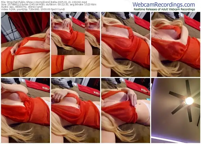 stripchat-hornyblond_bella-01-21-2025-16-32-42