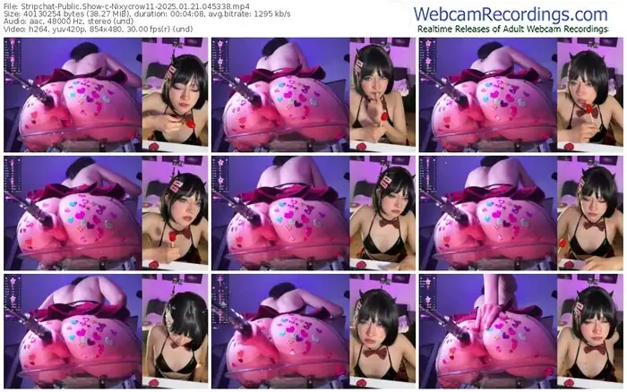 stripchat-nixycrow11-01-21-2025-04-53-38