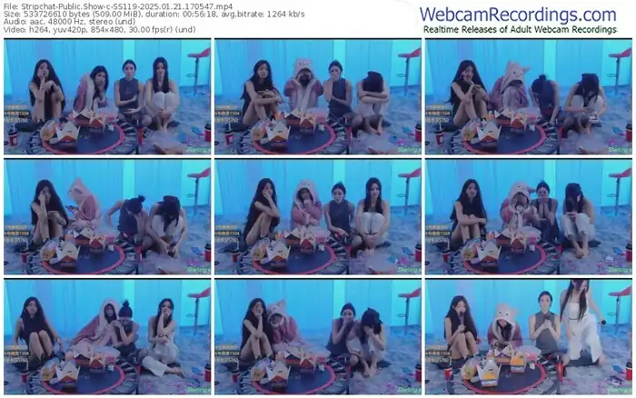 stripchat-ss119-01-21-2025-17-05-47