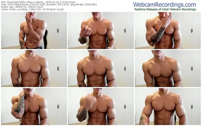 stripchat-dan01_-01-21-2025-17-15-23