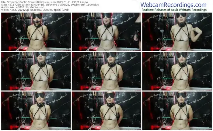stripchat-bdsmsumision-01-21-2025-23-30-17