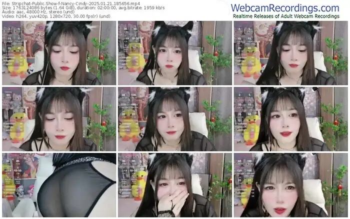 stripchat-nancy-cindy-01-21-2025-18-56-56
