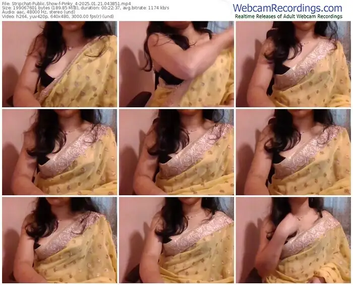 stripchat-pinky_4-01-21-2025-04-38-51