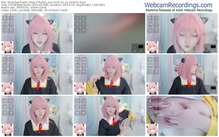 stripchat-ruirui_ovo-01-21-2025-03-25-21