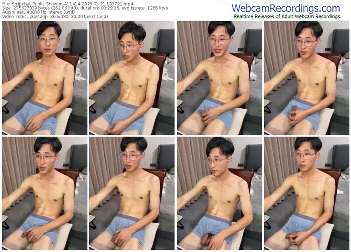 stripchat-a11414-01-21-2025-18-37-21